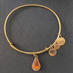 Alex and Ani Charm Bangle